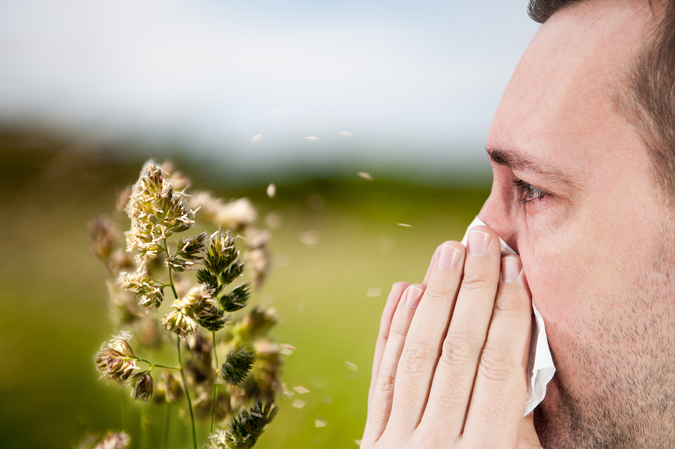 Spring Allergies: How To Deal