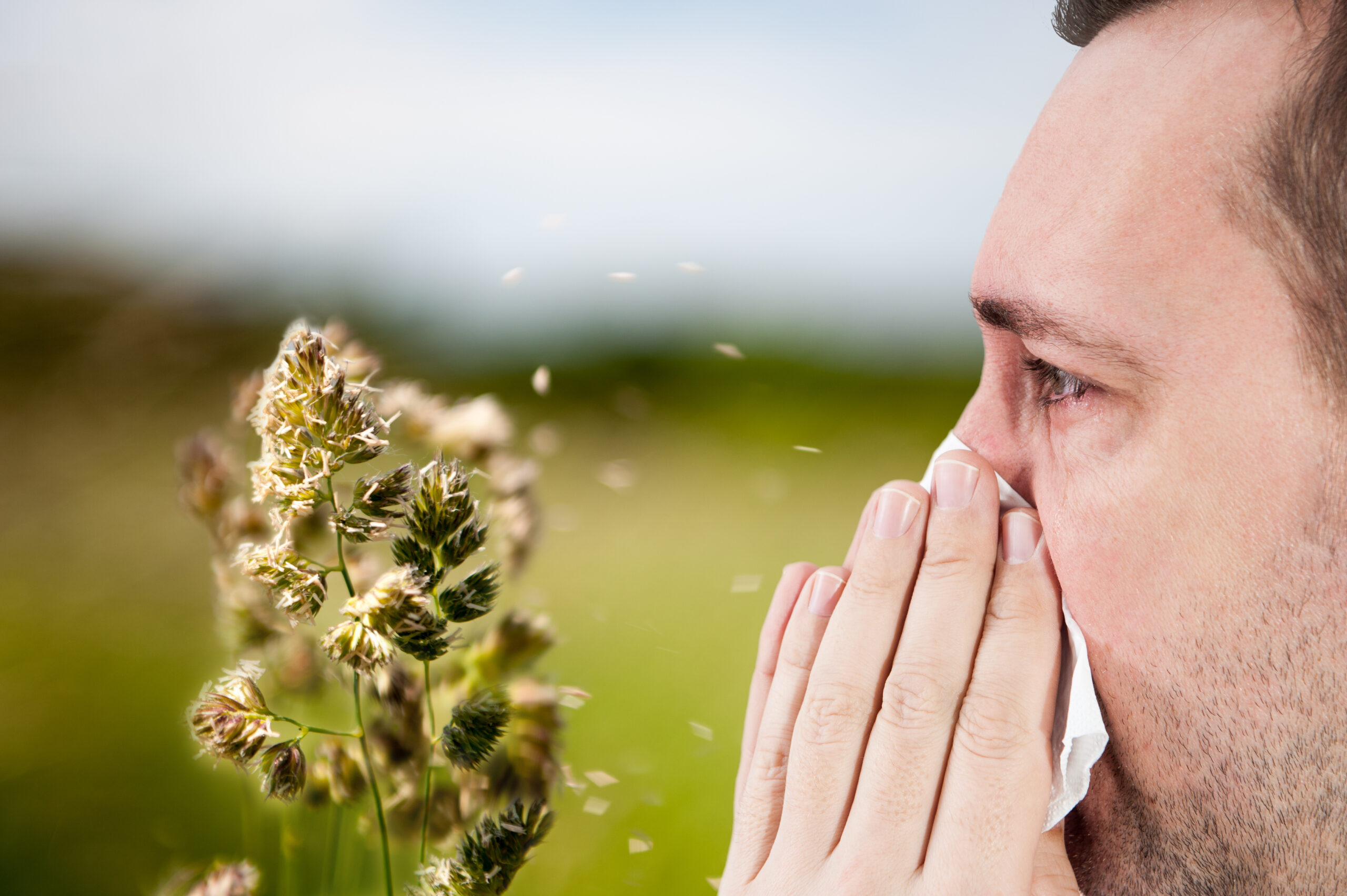 Spring Time Means Spring Allergies: How to Deal